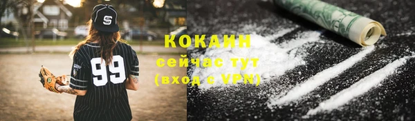 apvp Алексин