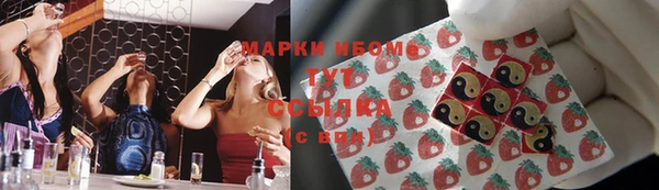 apvp Алексин