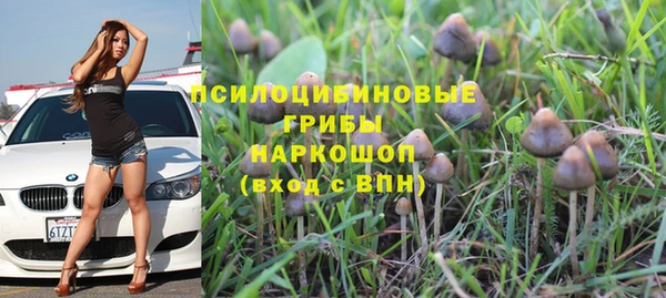 apvp Алексин