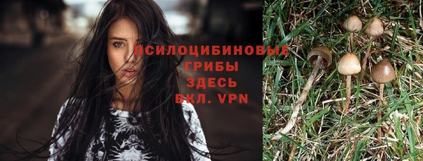 ешки Алзамай