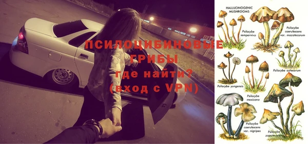 apvp Алексин