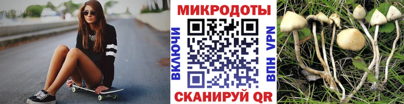 Псилоцибиновые грибы Cubensis Любим